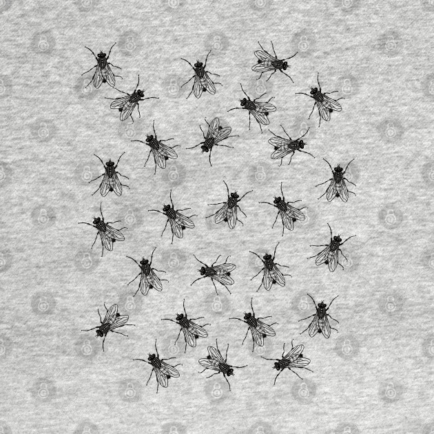 Flies by Speshly